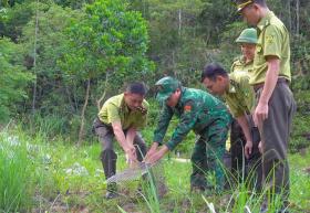  Thả trăn gấm quý hiếm về tự nhiên 