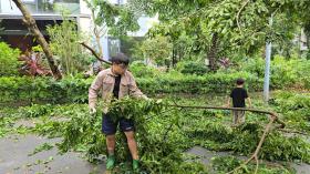 Tin tức giải trí 9-9: Quyền Linh nói về tin đồn nợ nần