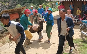 Mưa lớn làm sạt lở đất đá, gây ách tắc nhiều tuyến giao thông ở Sơn La  第3张