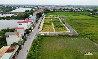  Huyện Thanh Oai tạm dừng đấu giá 114 khu đất 