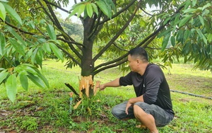 Tìm thấy thi thể người đàn ông bị mất tích trong vụ lật xuồng khi đi bẫy chim trên sông Đồng Nai  第4张