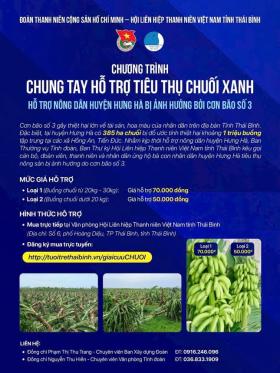  385 ha chuối bị đổ sau bão số 3, tuổi trẻ Thái Bình kêu gọi hỗ trợ nông dân tiêu thụ xanh 第6张