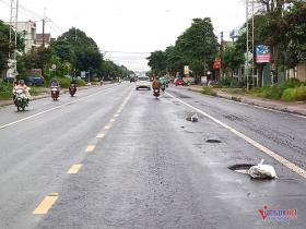 Mặt đường vừa thảm nhựa đã chi chít 'ổ gà', tiềm ẩn nguy cơ tai nạn