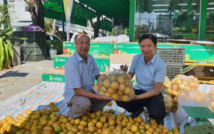 TP.Đà Nẵng: Hội Nông dân quận Thanh Khê trao hỗ trợ cho 15 địa chỉ nhân đạo  第10张