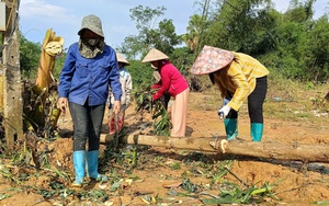 Hội Nông dân Việt Nam dự Đại hội Châu Á vì sự phát triển nông thôn bền vững (AFA) tại Nê-pan  第4张