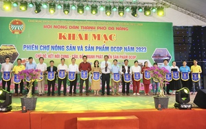 Đà Nẵng sôi nổi Phiên chợ nông sản, hoa, cây cảnh nghệ thuật quận Hải Châu năm 2024  第12张