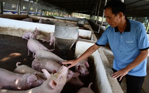 Hội Nông dân Đăk nhân rộng nhiều mô hình hiệu quả từ vốn Quỹ Hỗ trợ nông  第3张