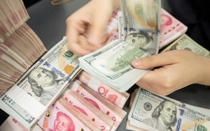 Giá USD hôm nay 23/9: Ít biến động  第6张