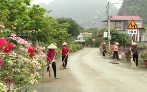 Ấn tượng những hàng cây xanh, đường hoa nông dân giữa Thủ đô Hà Nội