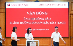 Phó TGĐ Agribank: Dự kiến giảm 0,5%-2% lãi suất vay hiện hữu cho khách hàng bị thiệt hại do bão Yagi ngay trong tuần này  第6张