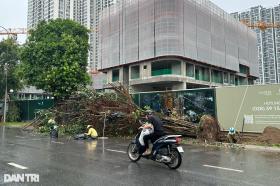 Cảnh hoang tàn sau bão Yagi tại các khu đô thị ở Hà Nội