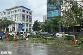 Cảnh hoang tàn sau bão Yagi tại các khu đô thị ở Hà Nội  第5张