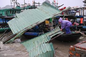 Những bệnh có thể bùng phát sau mưa lũ 