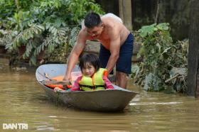 Hà Nội: Nước lũ dâng cao hơn 5m, người dân &quot;sơ tán&quot; đàn lợn lên tầng 3  第6张