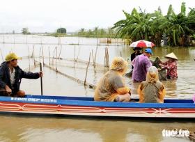 Về Đồng Tháp ra đồng bắt cá, hái rau, ngắm mùa nước nổi  第2张