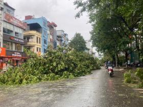 Ấm lòng hình ảnh người dân Thủ đô chung tay dọn dẹp đường phố sau bão số 3  第1张