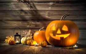 Lời chúc Halloween 2024 độc đáo, hay nhất  第2张